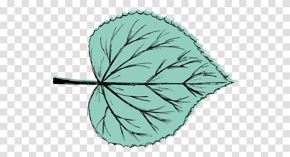 Leaf Drawing Vector Svg Leaf Drawing, Plant, Insect, Invertebrate, Animal Transparent Png