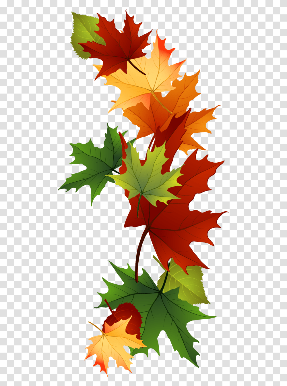Leaf Fall Leaves Clip Art Beautiful Autumn Clipart Autumn Clipart, Plant, Tree, Maple Transparent Png