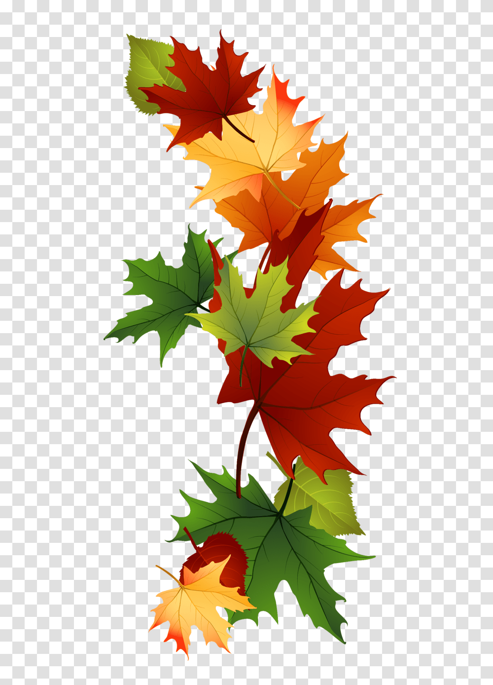 Leaf Fall Leaves Clip Art Beautiful Autumn Clipart Image Gifts, Plant, Tree, Maple, Maple Leaf Transparent Png