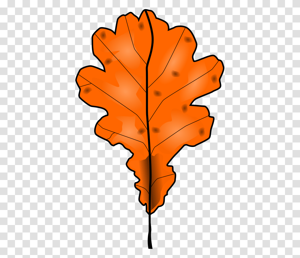 Leaf Free Stock Clipart, Plant, Tree, Maple Leaf, Bonfire Transparent Png