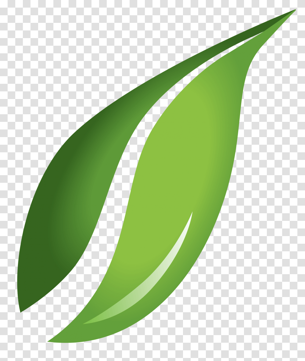 Leaf Garden Leave Icon, Green, Plant, Banana, Fruit Transparent Png