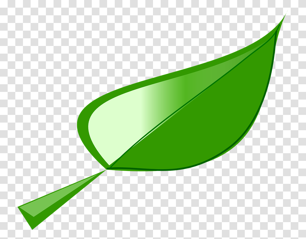 Leaf Graphic 21 Buy Clip Art Leaf Free Clipart, Plant, Green, Animal, Flower Transparent Png
