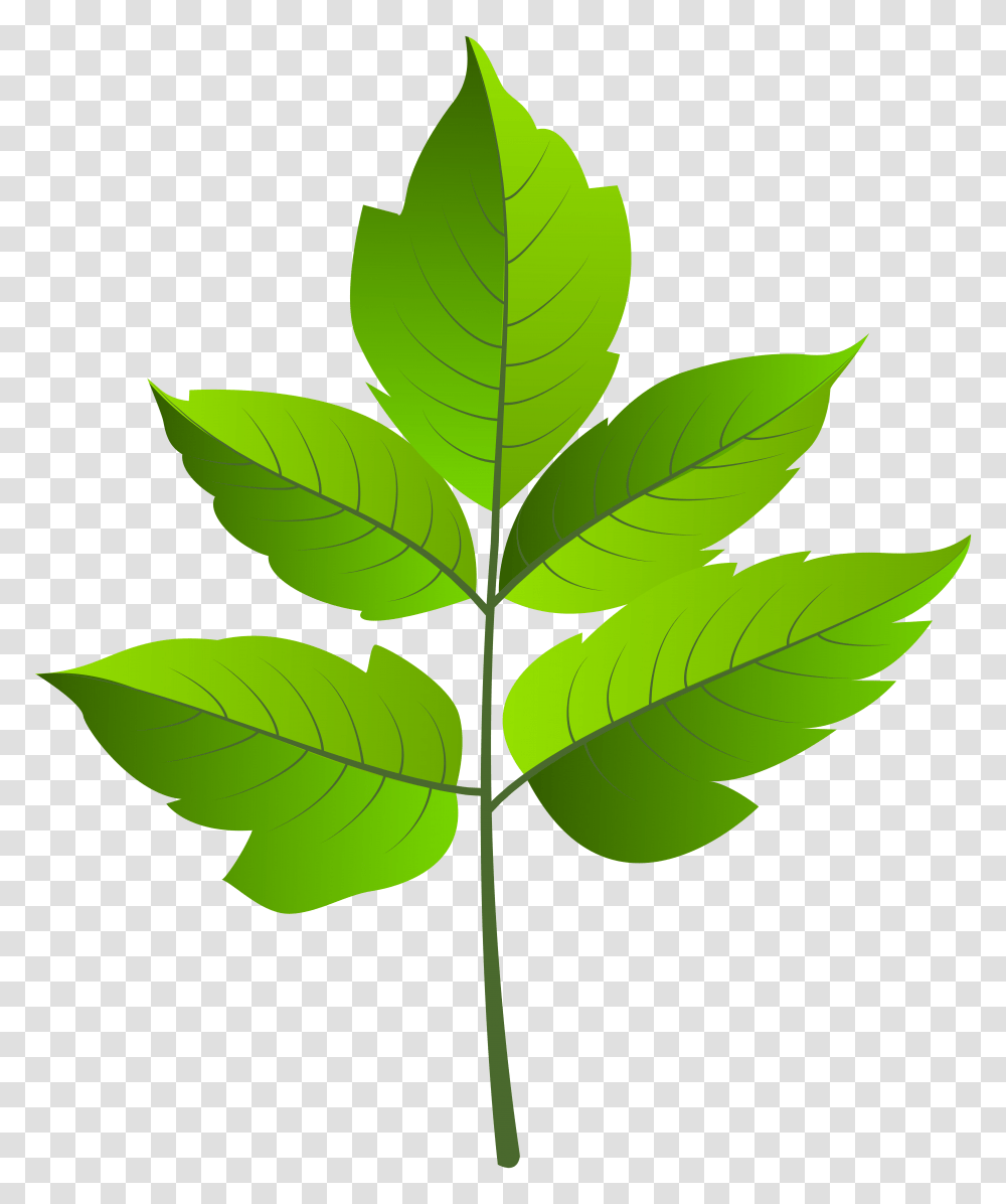 Leaf Green Clip Ar, Plant, Tree, Cross Transparent Png