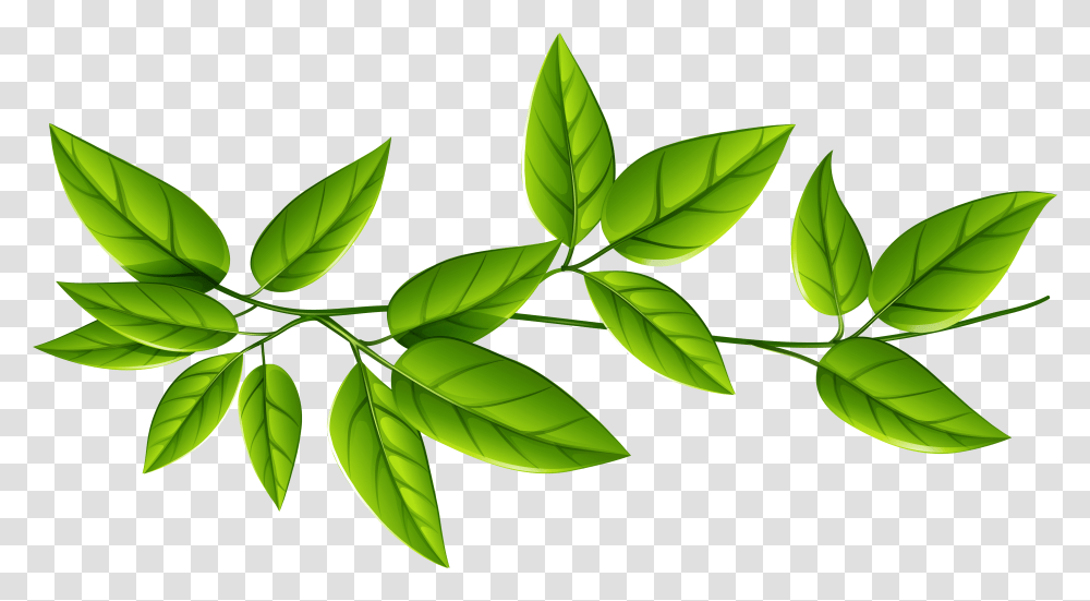 Leaf Green Clip Art Green Leaves Background, Plant, Vase, Jar, Pottery Transparent Png