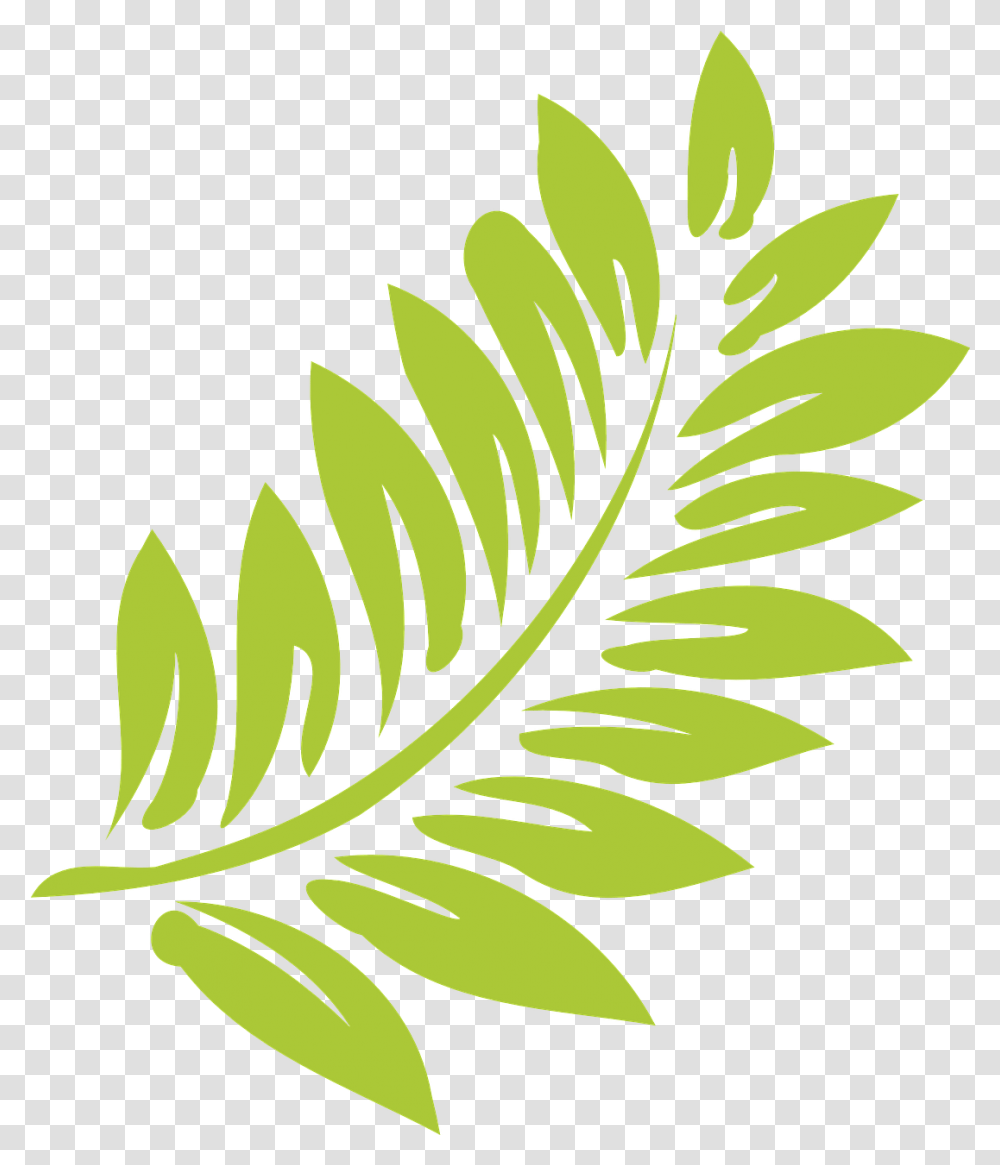 Leaf Green Light Free Vector Graphic On Pixabay Hibiscus Clip Art, Plant, Fern Transparent Png