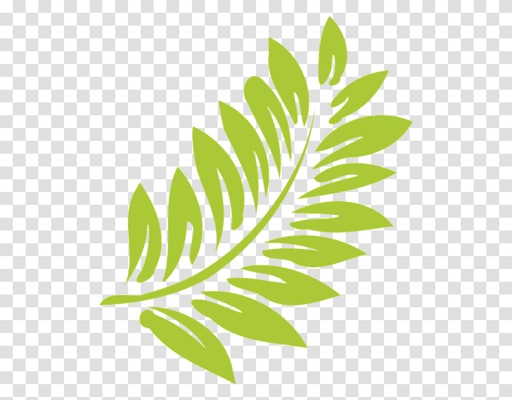 Leaf Green Light Hibiscus Clip Art, Plant, Fern Transparent Png