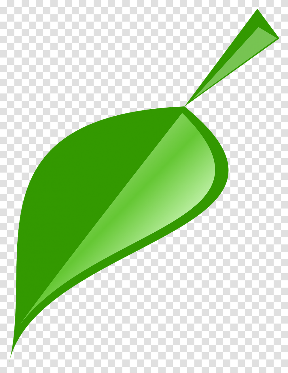 Leaf Green Nature Plant Natural Spring, Seed, Grain, Produce, Vegetable Transparent Png