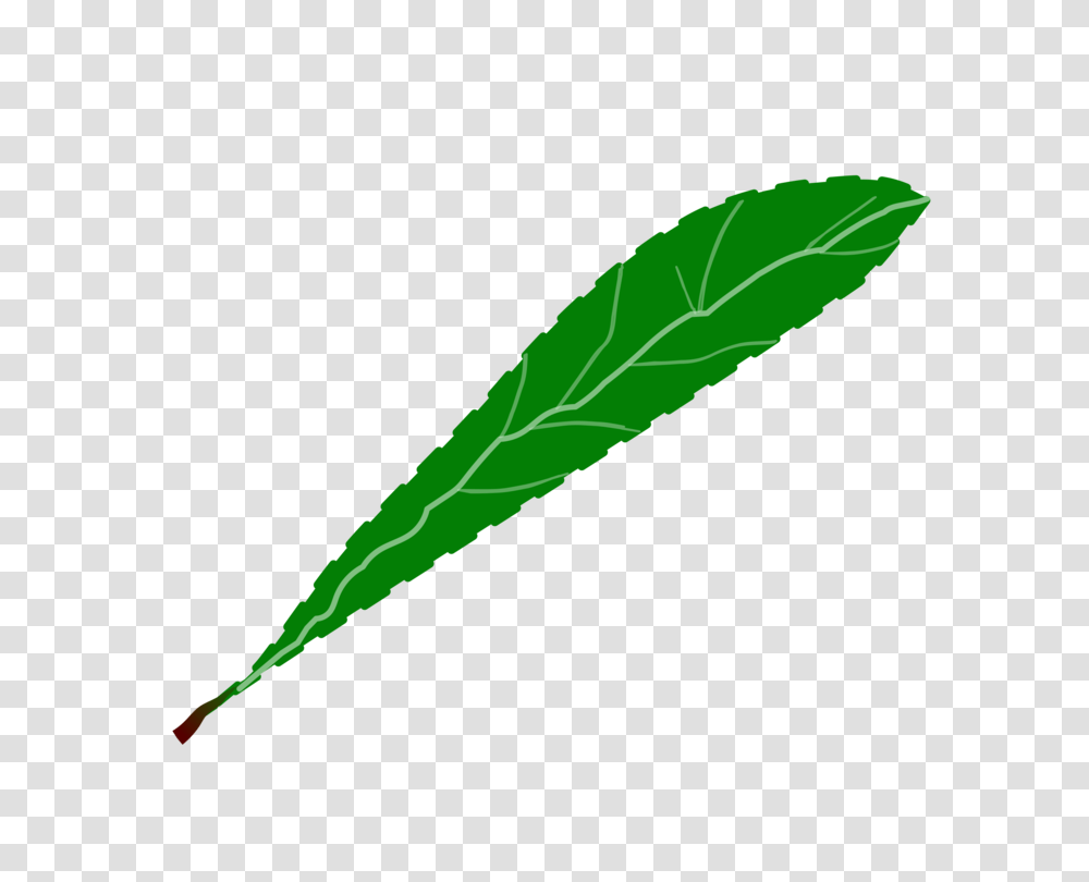 Leaf Green Petal Flower Plants, Vegetation, Tree, Grass, Hemp Transparent Png