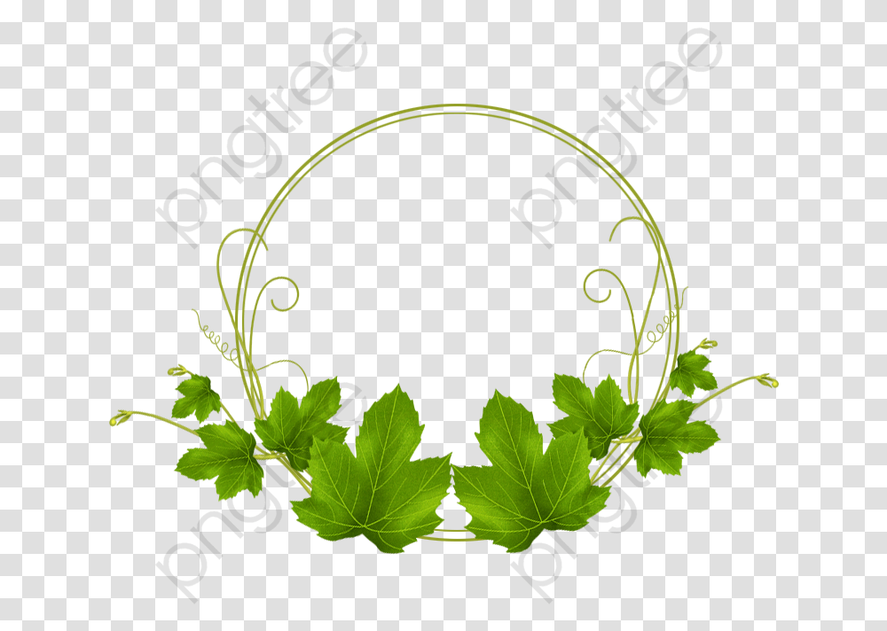 Leaf, Green, Vase, Jar, Pottery Transparent Png