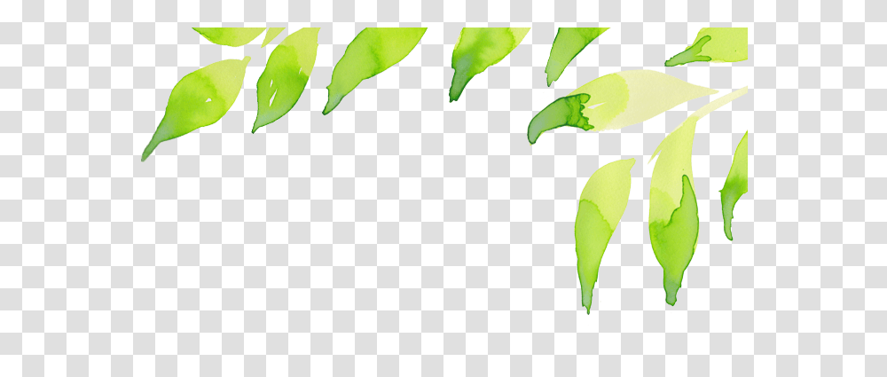 Leaf Header Background, Plant, Green, Flower, Animal Transparent Png