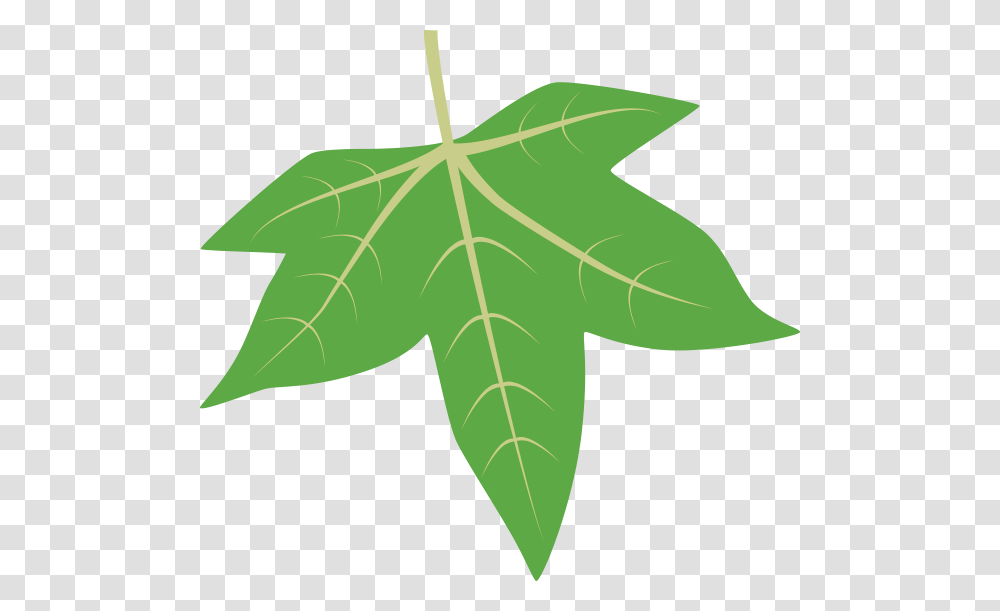 Leaf Id, Plant, Maple Leaf, Tree Transparent Png