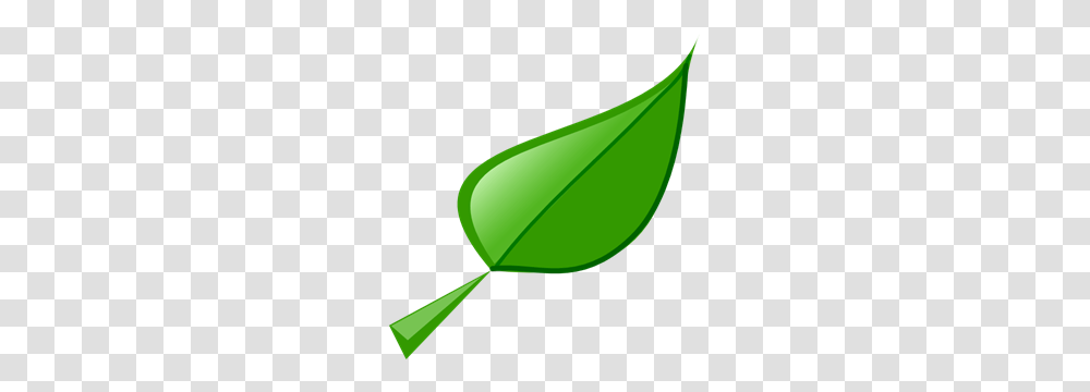 Leaf Images Icon Cliparts, Plant, Green, Tennis Ball, Sport Transparent Png