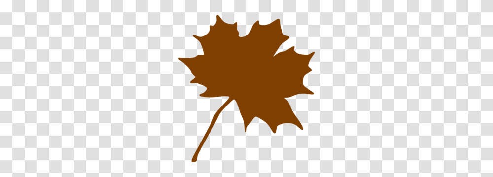 Leaf Images Icon Cliparts, Plant, Maple Leaf, Tree Transparent Png