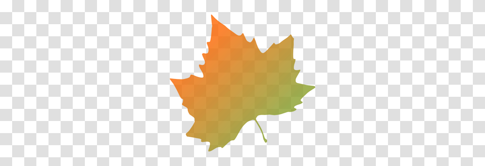 Leaf Images Icon Cliparts, Plant, Tree, Maple, Maple Leaf Transparent Png