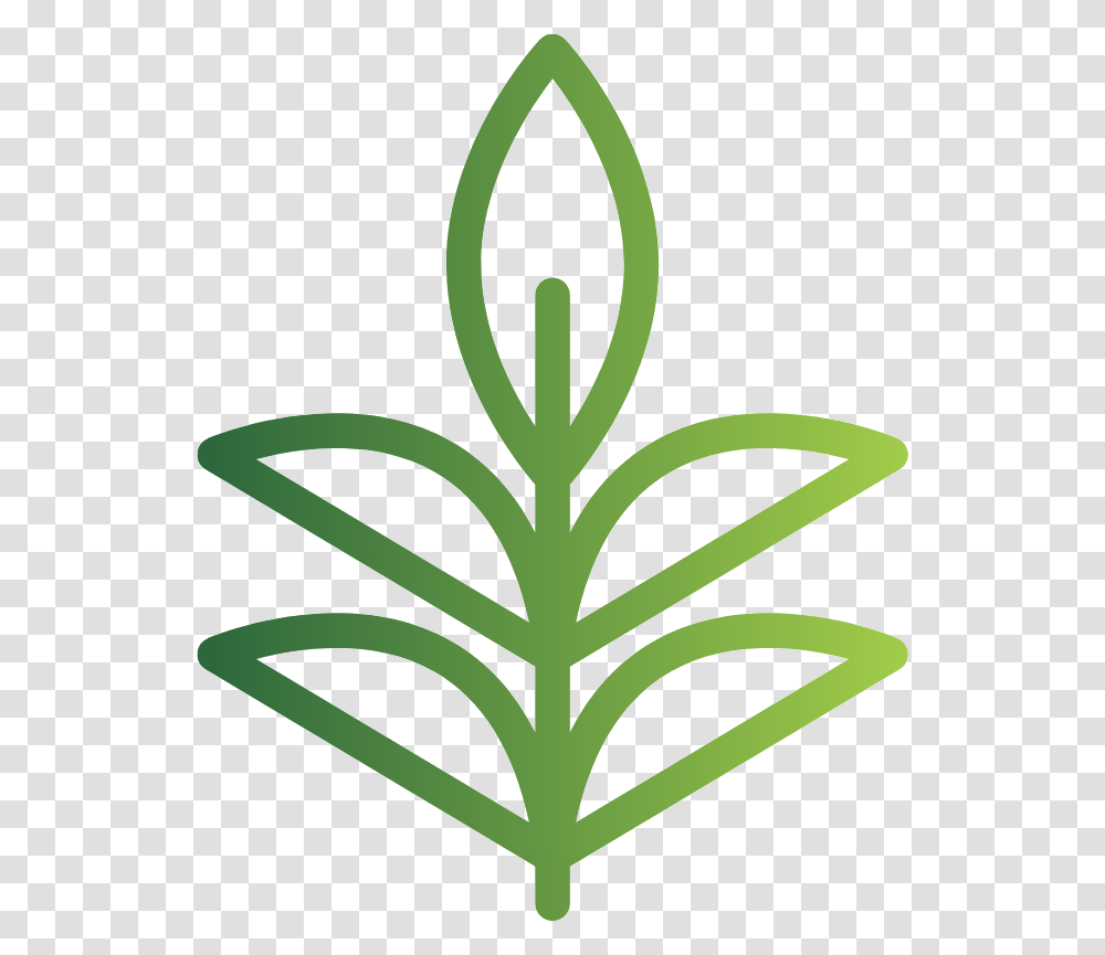 Leaf Language, Plant, Stencil, Pattern, Rug Transparent Png