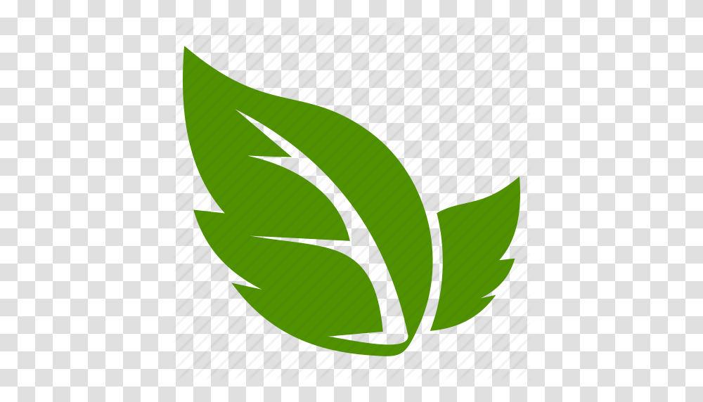Leaf Leave Icon, Plant, Flower, Seed Transparent Png