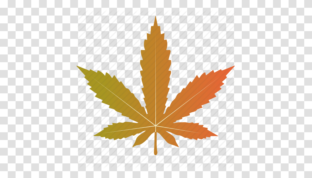 Leaf Leaves Maple Marijuana Nature Tree Icon, Plant, Maple Leaf, Weed Transparent Png
