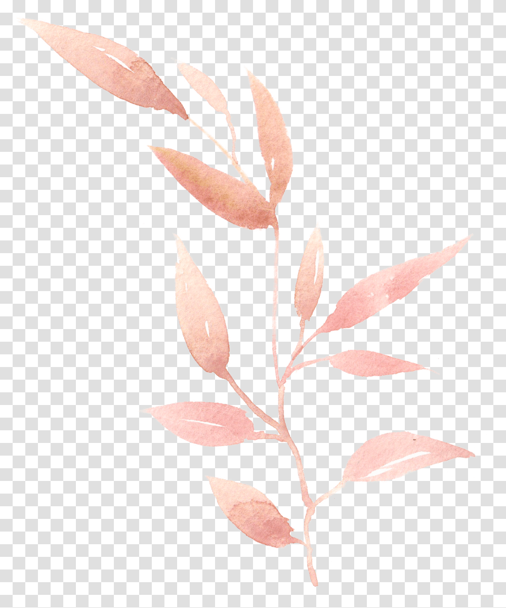 Leaf Leaves Painting Hand Flower, Plant, Blossom, Acanthaceae, Petal Transparent Png