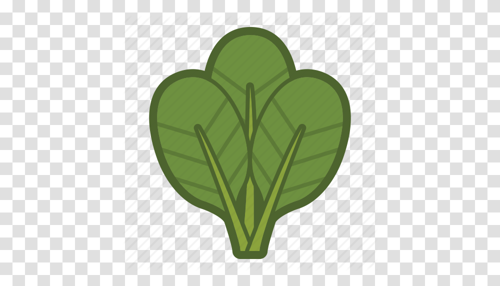Leaf Leaves Salad Spinach Vegetable Icon, Plant, Food, Produce Transparent Png