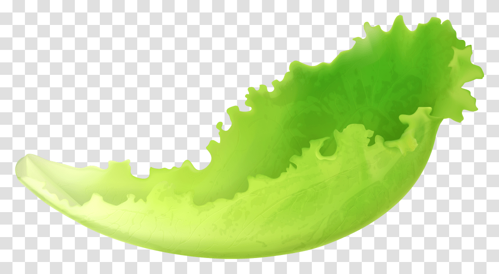 Leaf Lettuce Clipart Lettuce Leaf Clip Art Transparent Png