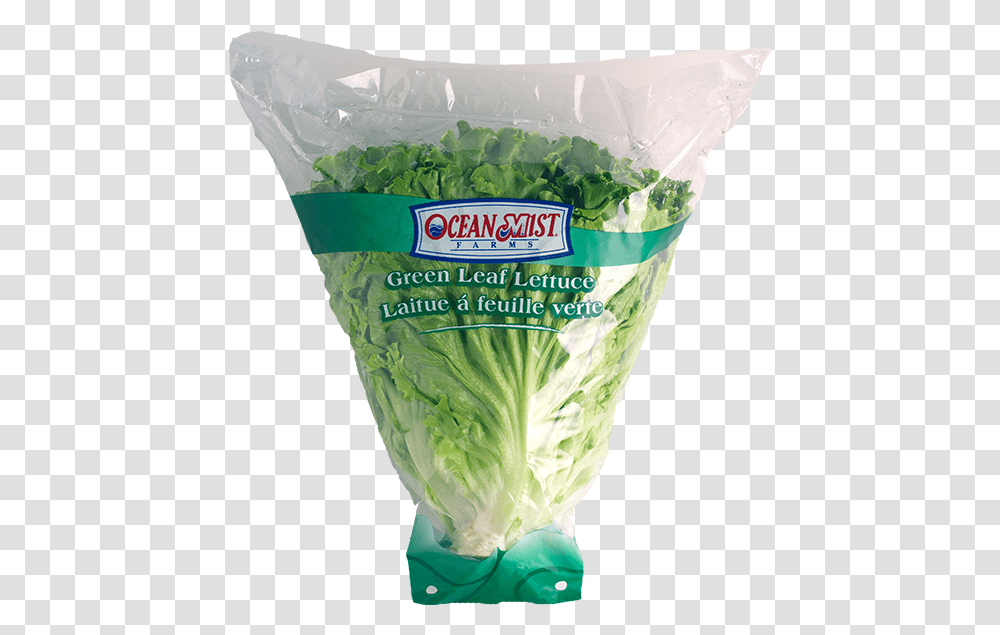 Leaf Lettuce, Plant, Vegetable, Food, Produce Transparent Png