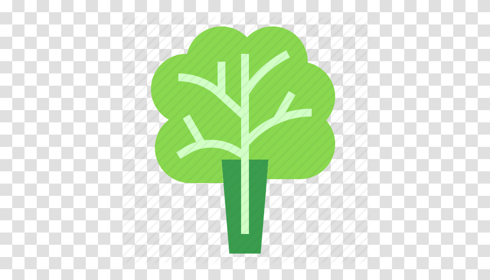 Leaf Lettuce Salad Icon, Green, Plant, Vegetable, Food Transparent Png