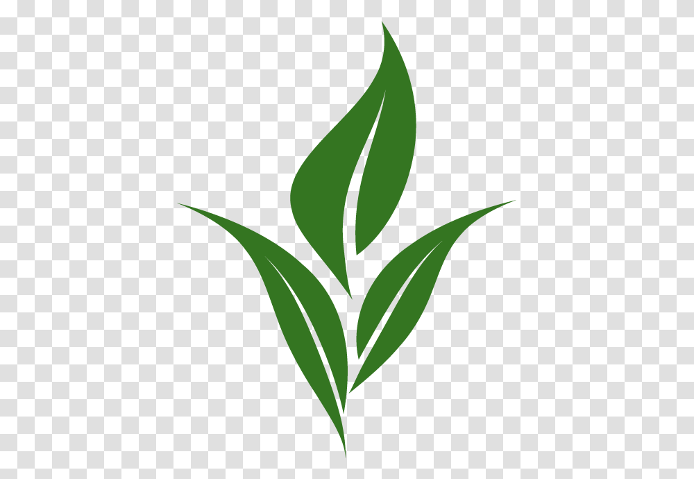 Leaf Logo Image, Trademark, First Aid, Green Transparent Png