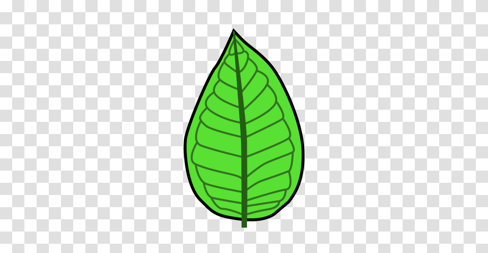 Leaf Morphology, Plant, Grenade, Bomb, Weapon Transparent Png
