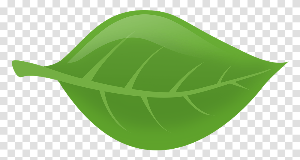 Leaf Nature Green Leaves Plants Tree Leaf Floating Feuille D Arbre, Food, Bowl, Fruit, Egg Transparent Png