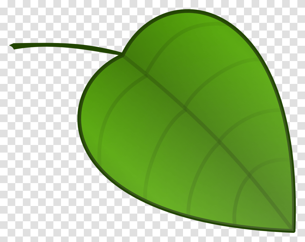 Leaf Nature Nerves Veins Green Free Image, Tennis Ball, Sport, Sports, Plant Transparent Png