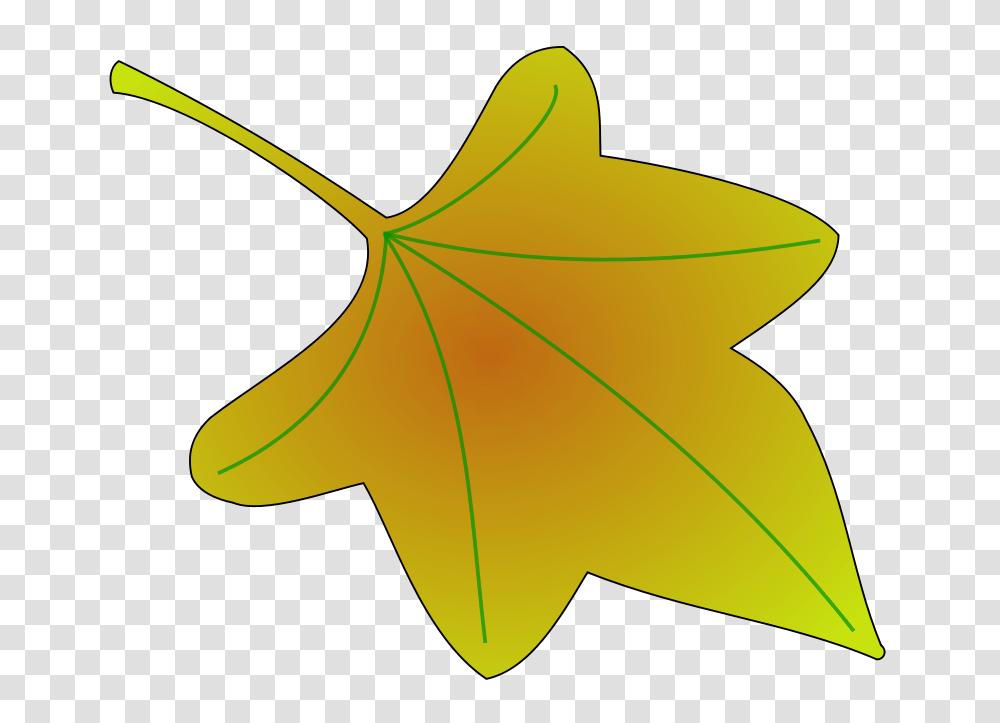 Leaf, Nature, Plant, Tree, Maple Leaf Transparent Png