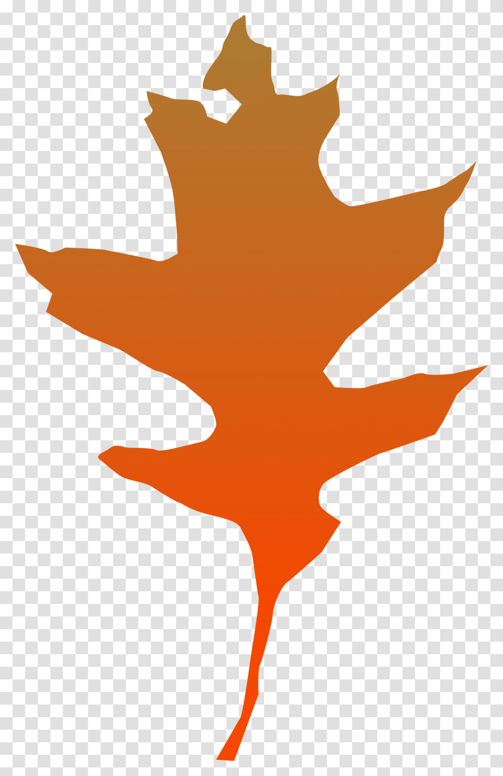 Leaf Oak Icons, Plant, Maple Leaf, Person, Human Transparent Png