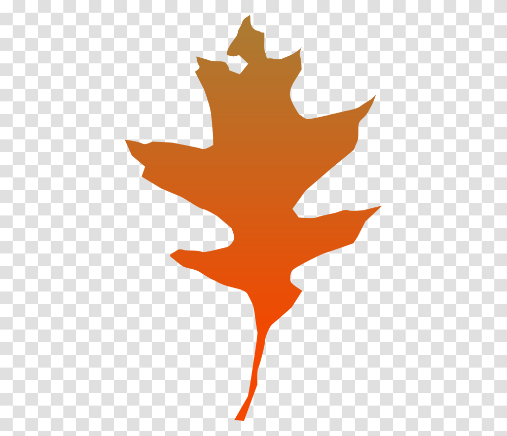 Leaf Oak, Nature, Plant, Maple Leaf, Person Transparent Png