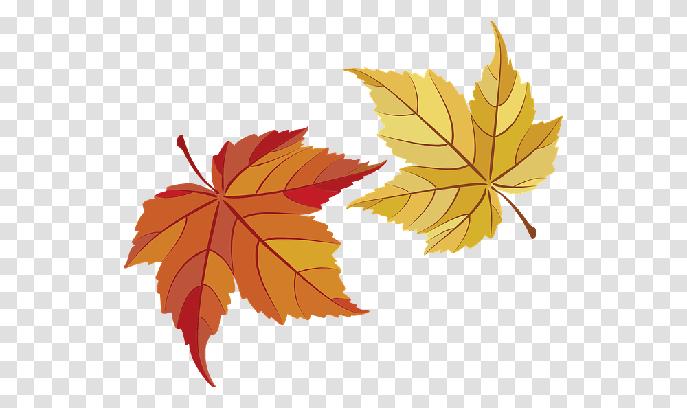 Leaf One Leaf Two Thanks For Your Business Thanksgiving, Plant, Tree, Maple, Maple Leaf Transparent Png