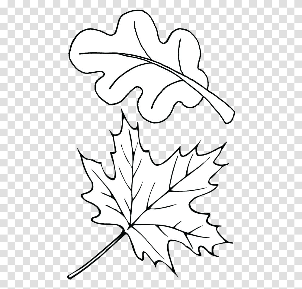 Leaf Outline Autumn Outlines Fall Clip A 1188570 Fall Leaves Coloring Pages, Plant, Tree, Maple Leaf Transparent Png