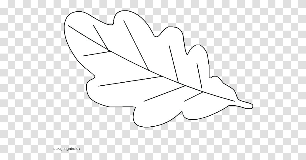 Leaf Outline Autumn Red Easy Leaf Coloring Pages, Plant, Axe, Tool, Maple Leaf Transparent Png