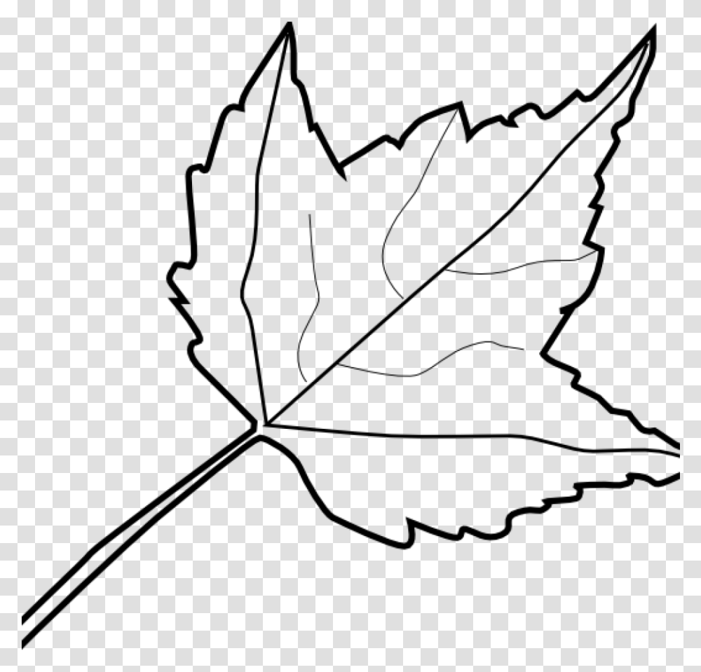 Leaf Outline Images Maple Leaf Outline Clip Art At Leaf Clipart Black And White, Gray Transparent Png