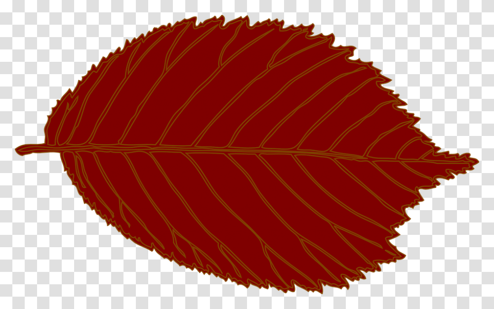 Leaf Oval Hazelnut Autumn Shapes Single Red Brown Leaf Clip Art, Plant, Veins Transparent Png