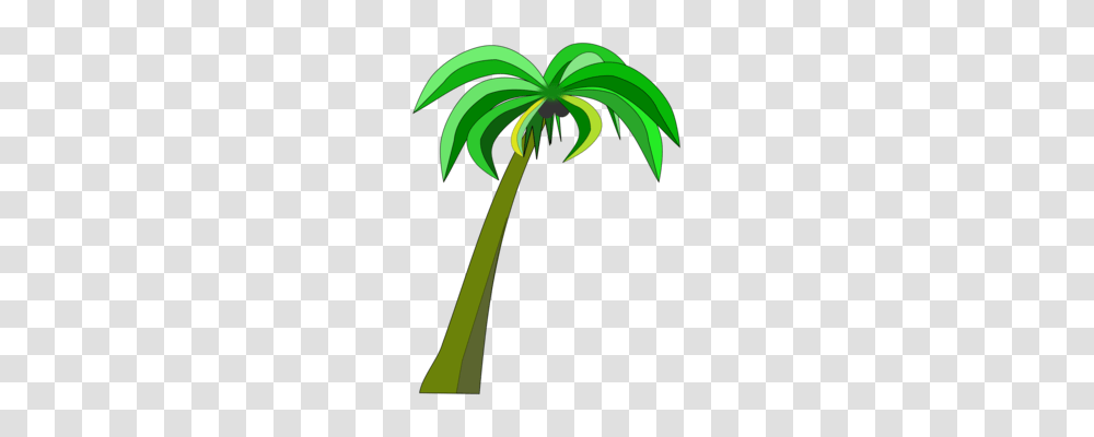 Leaf Palm Trees Drawing Plants, Arecaceae, Flower, Blossom, Green Transparent Png
