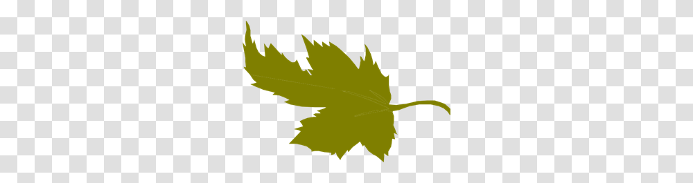 Leaf Peas Green Clip Arts For Web, Plant, Maple Leaf, Tree Transparent Png
