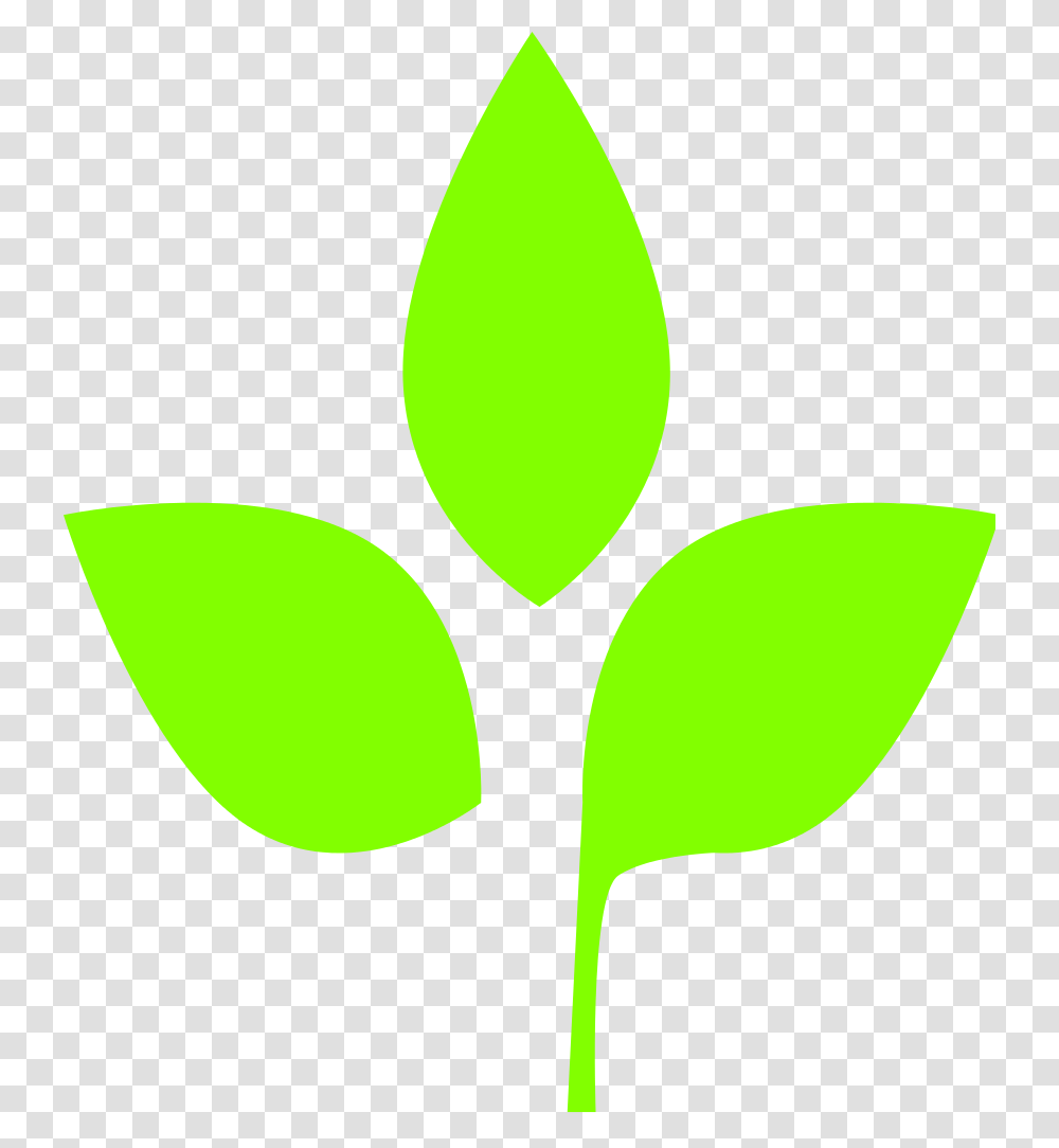 Leaf Pictures, Plant, Balloon, Seed Transparent Png