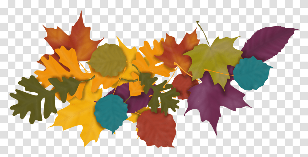 Leaf Pile, Plant, Tree, Maple, Maple Leaf Transparent Png