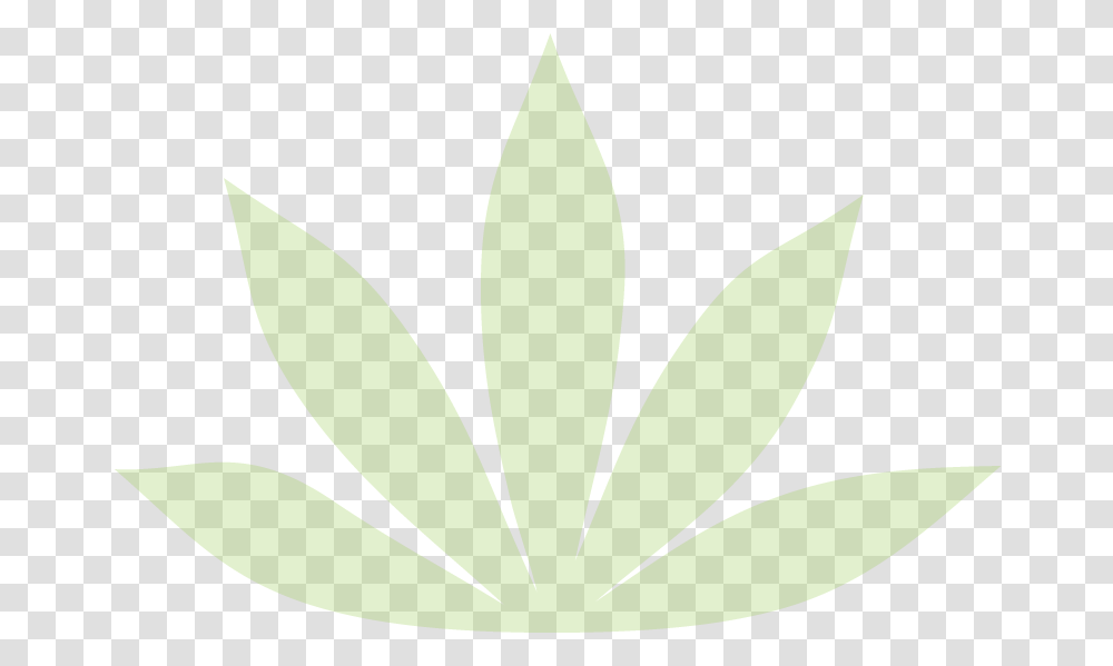 Leaf, Plant, Flower, Blossom Transparent Png