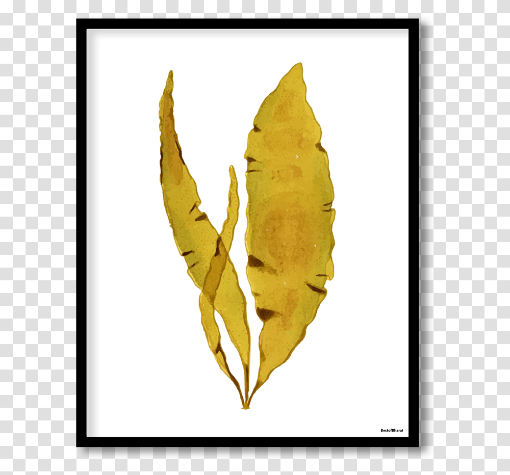 Leaf, Plant, Food, Vegetable, Sweet Potato Transparent Png