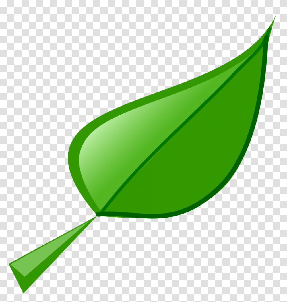 Leaf, Plant, Green, Flower Transparent Png