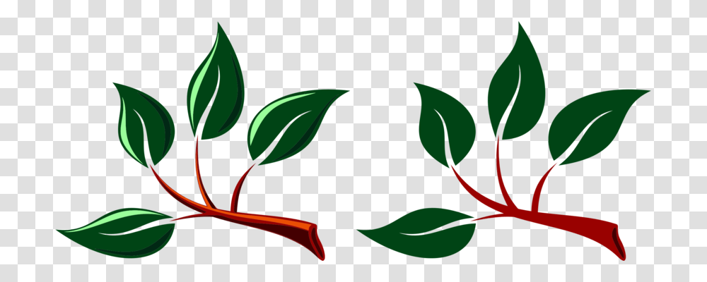 Leaf, Plant, Green Transparent Png