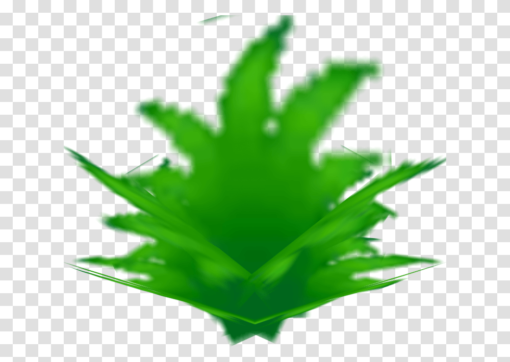 Leaf, Plant, Green, Tree Transparent Png