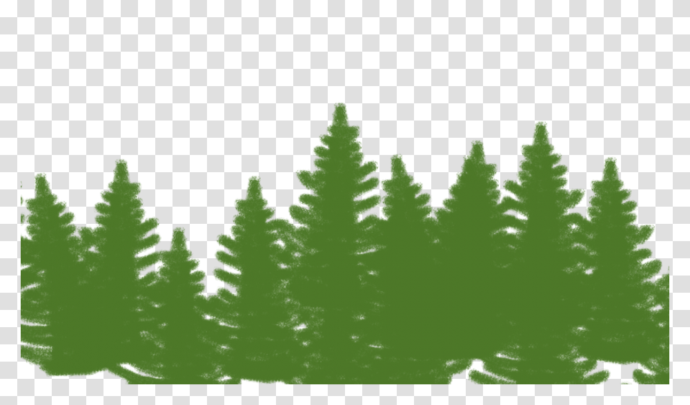 Leaf, Plant, Green, Tree Transparent Png