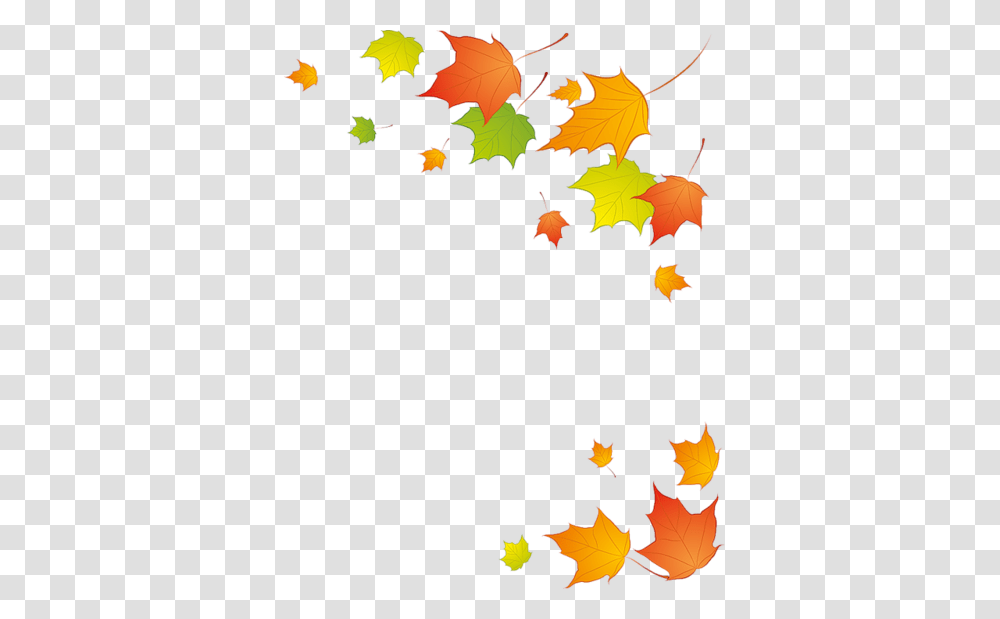 Leaf, Plant, Maple Leaf, Tree Transparent Png