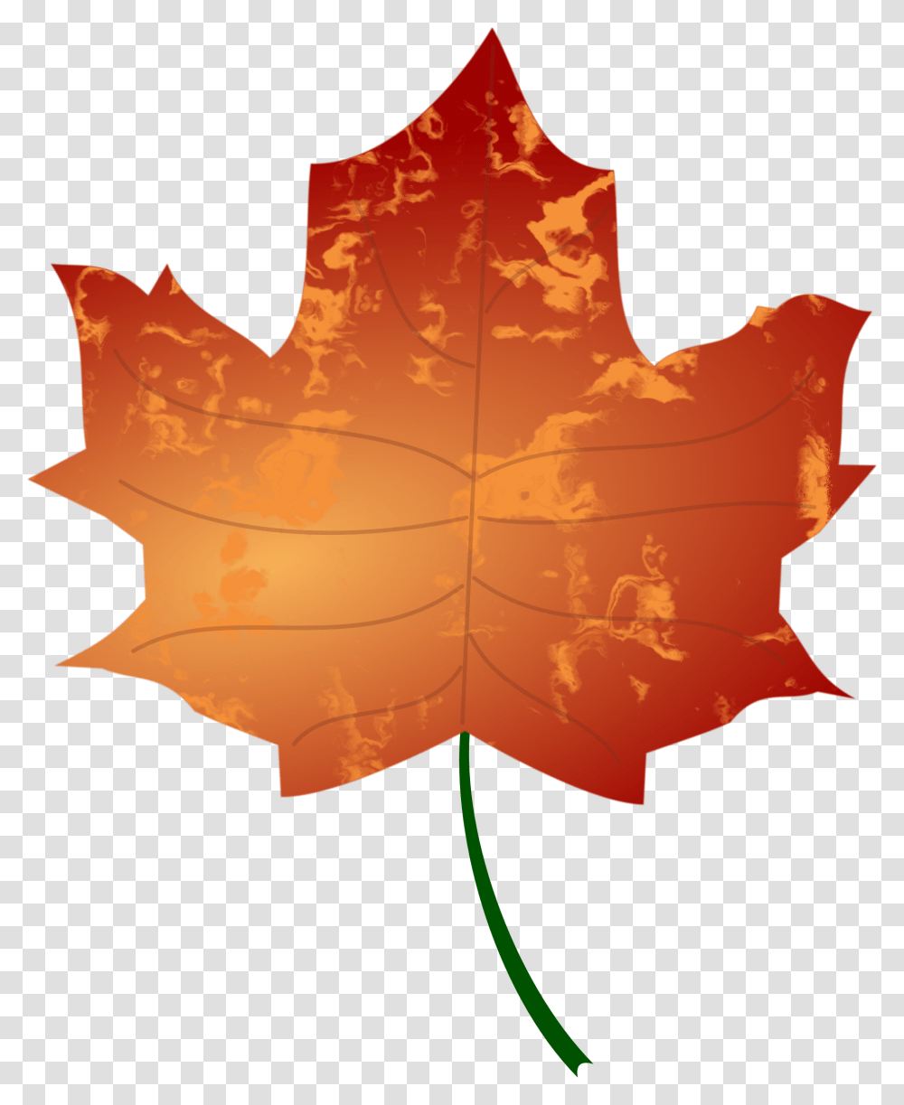 Leaf, Plant, Tree, Maple Leaf, Bonfire Transparent Png